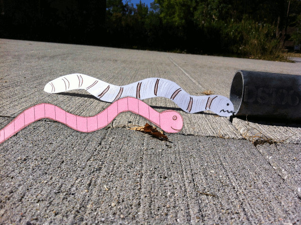 Two paper worms; one is going into a pipe with DS106 on it. One worm's frown turns to a smile in this animated gif.